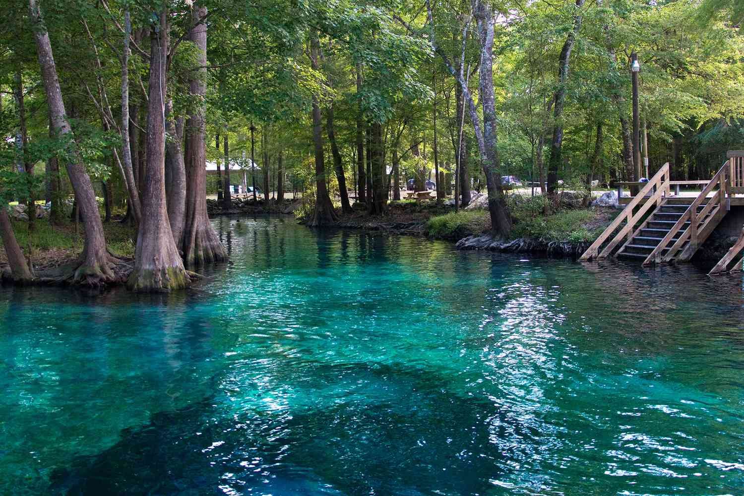 ginnie-springs-FLSPRINGS0621-df9ca754d79946b1993321af36ff9abf